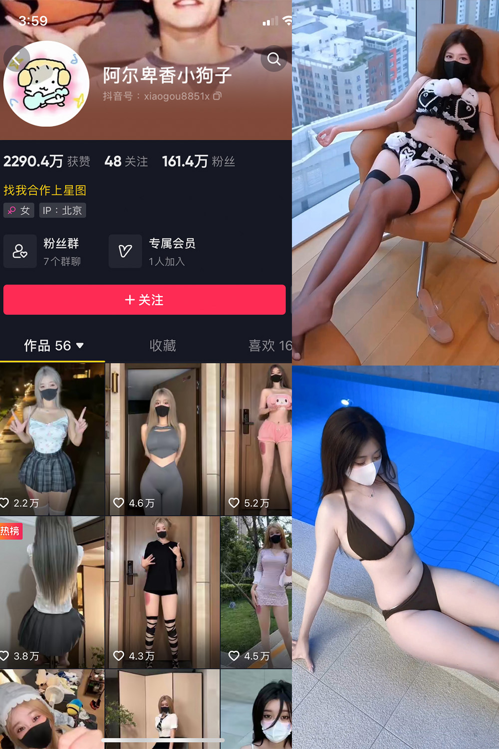 抖音 阿尔卑香小狗子 微密圈 | 觅圈  NO.062期 【8V】最新至：2025.5.22